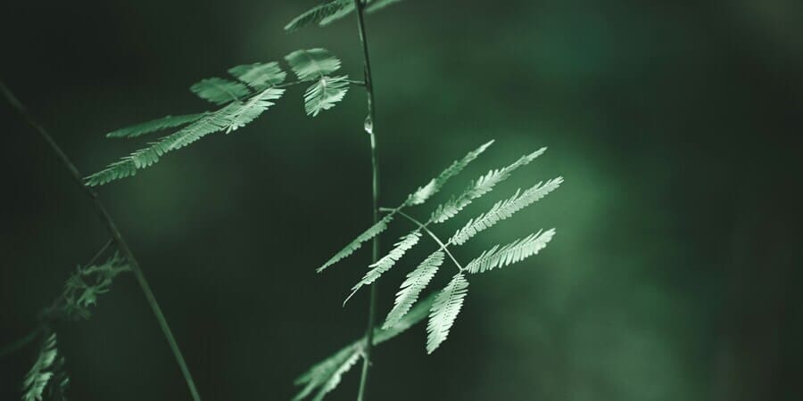 観光印刷と環境対応で実現する持続可能な地域PRの新常識